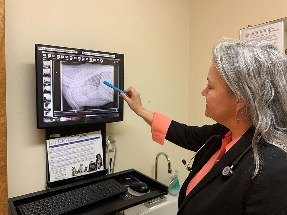 Pet diagnostic imaging at Animal Wellness Center in Santa Fe