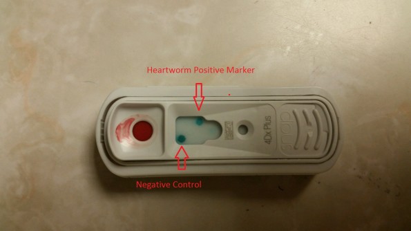 Heartworm Tester