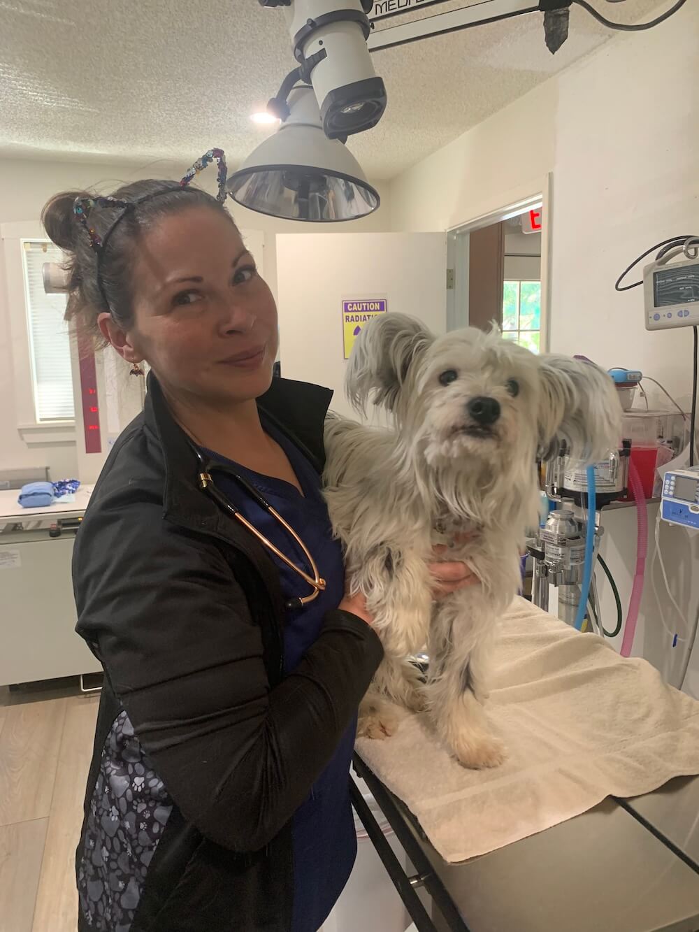 Veterinary technician holding a small fluffy dog on an exam table in a surgery suite in Santa Fe